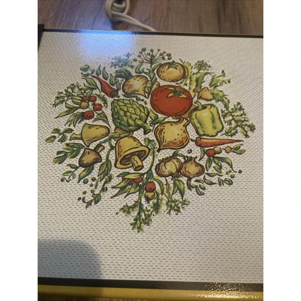 Vintage Electric Hot Plate Spice of Life Warm-O-Tray Garden Harvest Jasco Works